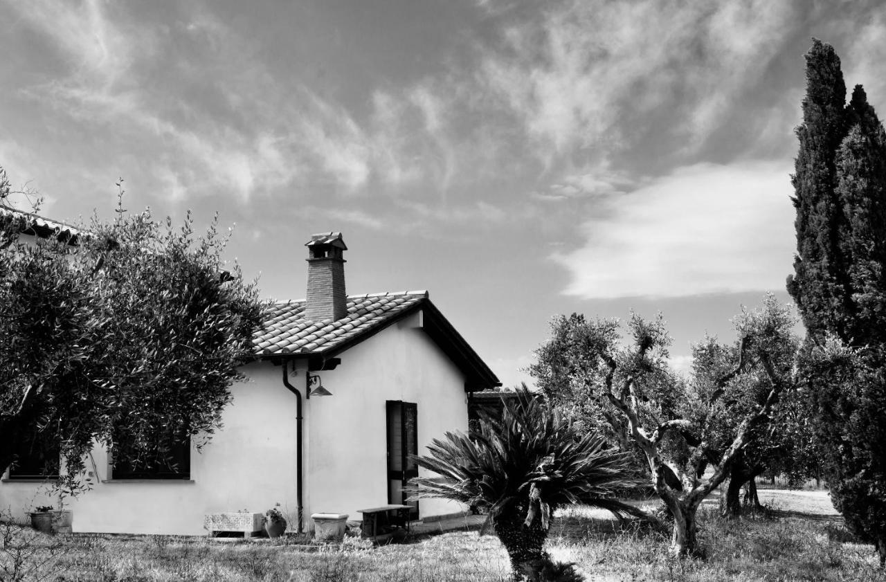 Villa Orti Di Capalbio Extérieur photo